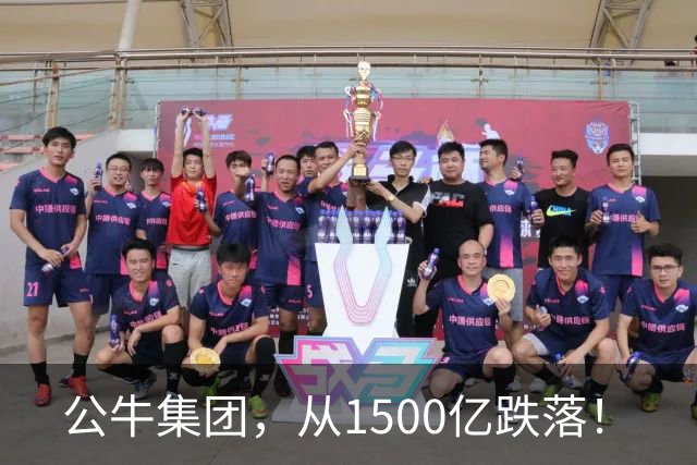 公牛集团，从1500亿跌落！